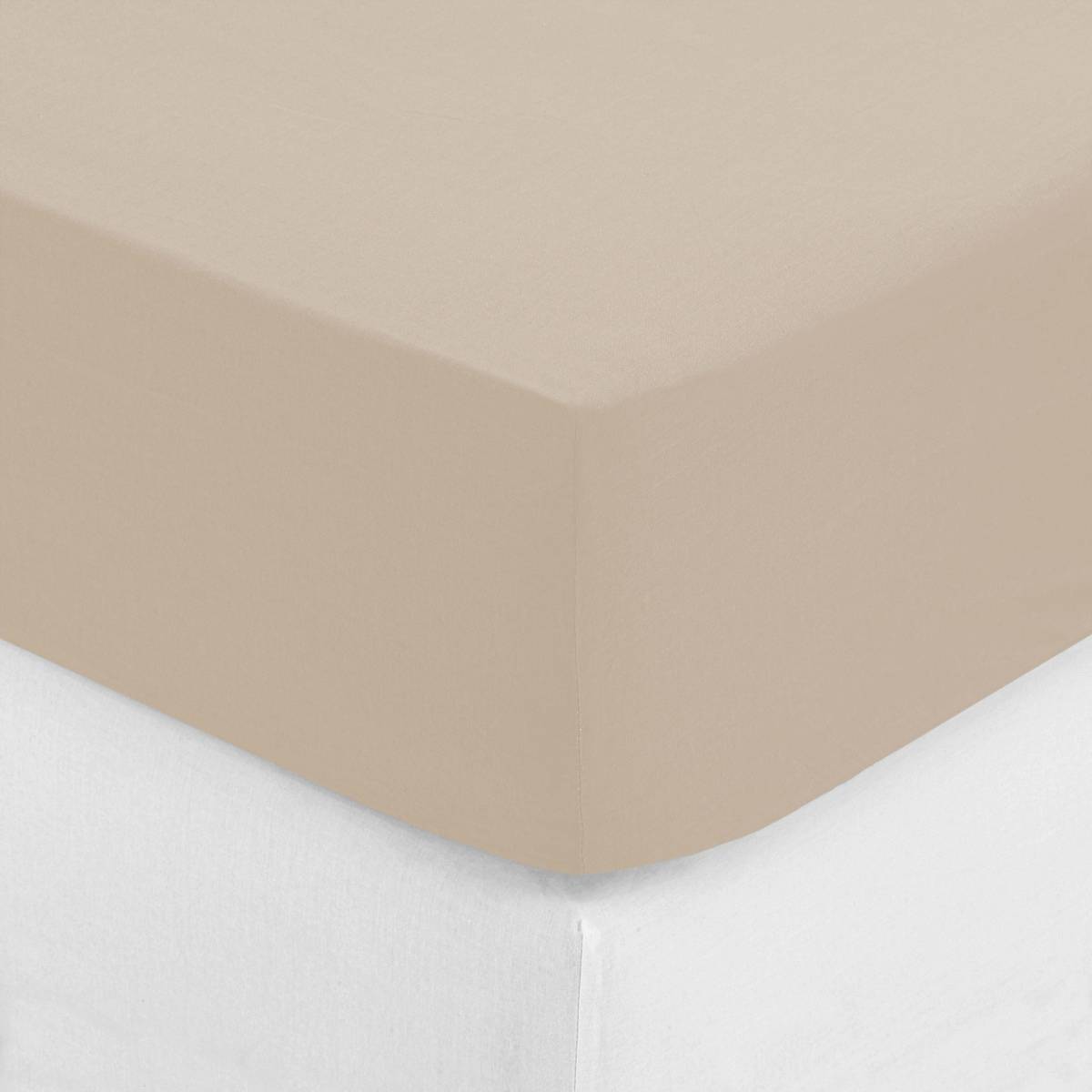 Fodera per cuscino da esterno cotone blu celeste 50x50 Foliage | Maisons du Monde