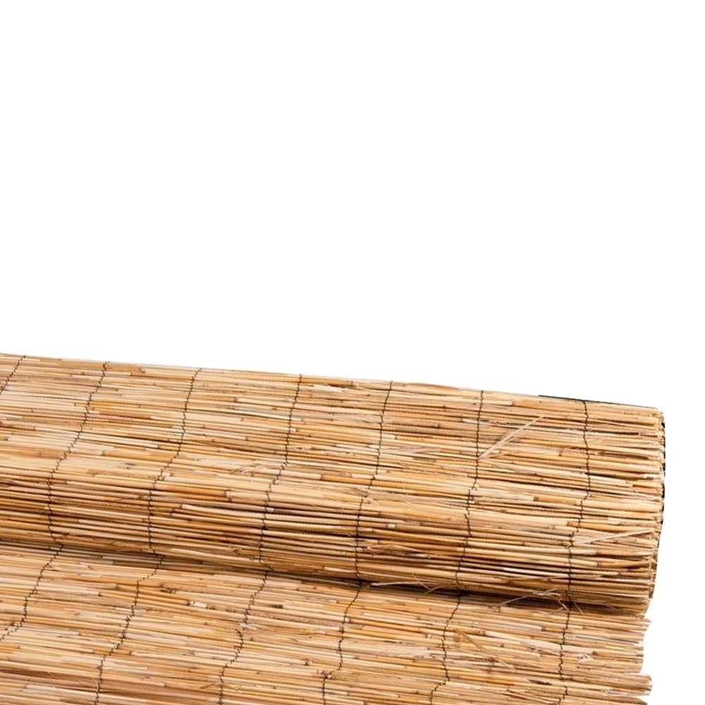 Canne in giunco naturale WERKA PRO - 5