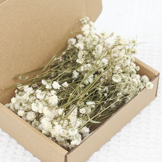 50 tiges de gypsophile séchée – bouquet blanc naturel pour mariages, vases, déco maison.