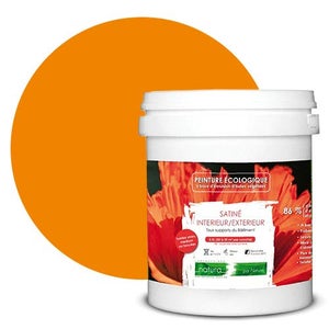 Lot De 12 Peintures Laco Orange Pour Marquer Les Animaux En Extérieur - Tout Temps