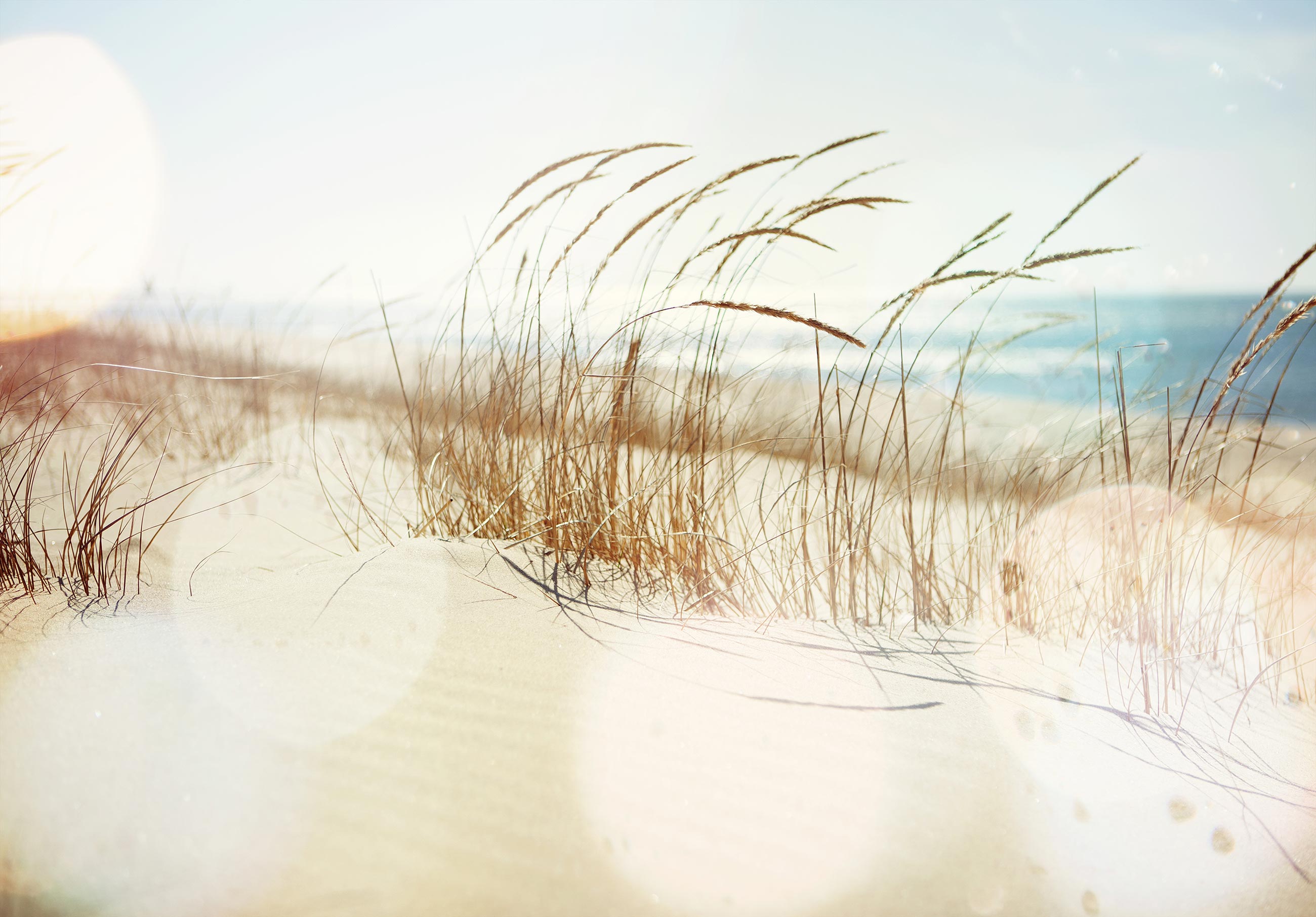Papel pintado fotografia panorámica playa mar naturaleza paisaje 368x254 cm - incluye cola - moderno salon dormitorio papel no tejido