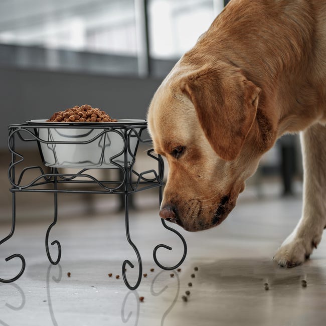 Ciotole Rialzate Per Cani In Acciaio - Supporto Regolabile, Antiscivolo, 1.6L, Argentato - Foto 6