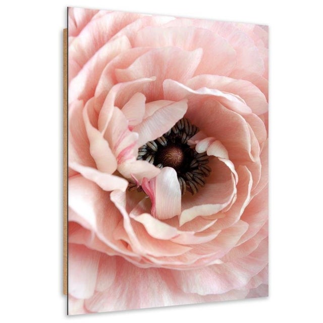 Tableau oeuvre pastel pivoine bois - 40 x 50 cm