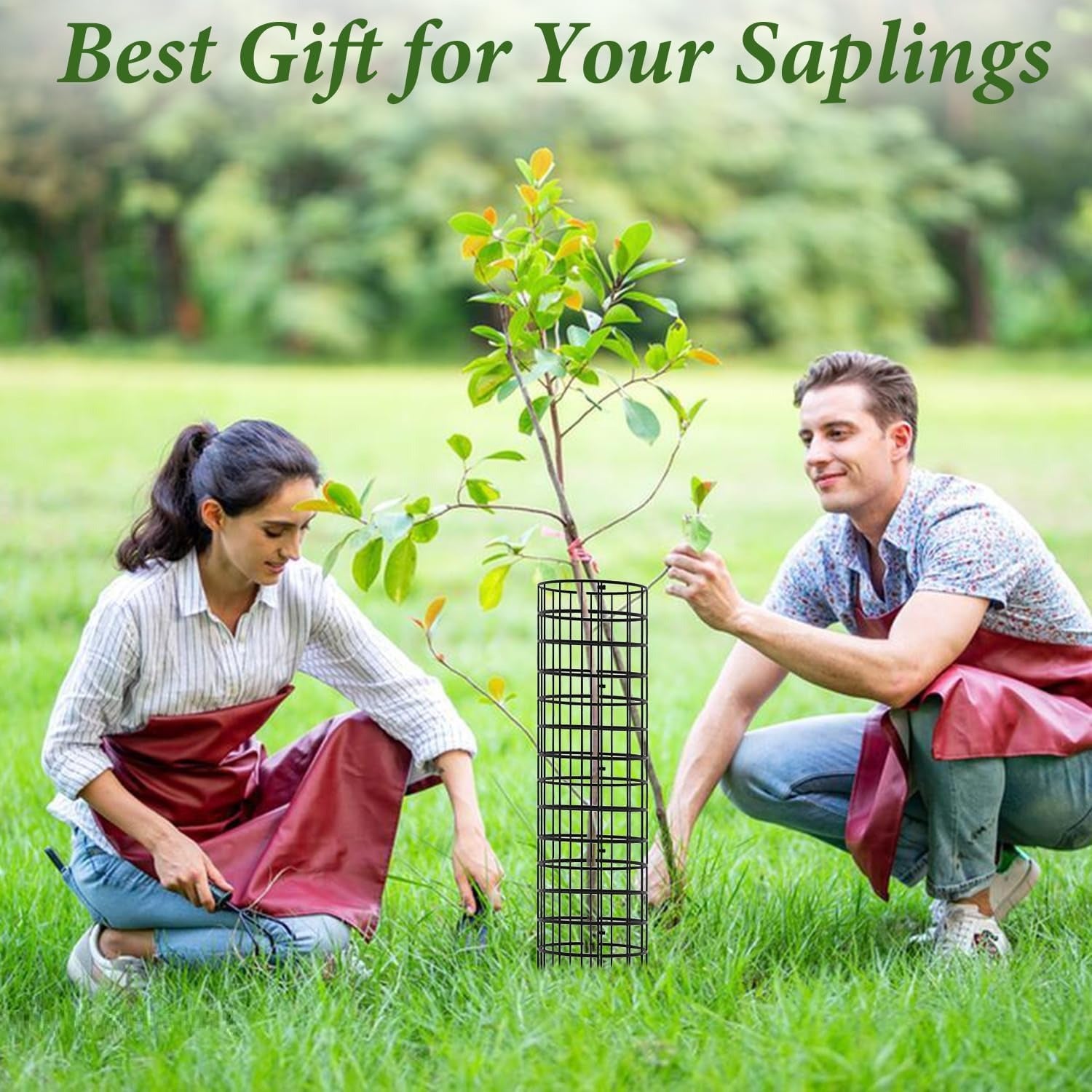 Ensemble 6 pièces grilles de protection tronc d’arbre en acier, livré avec 12 piquets et 50 attaches – Jardin et terrasse - 5