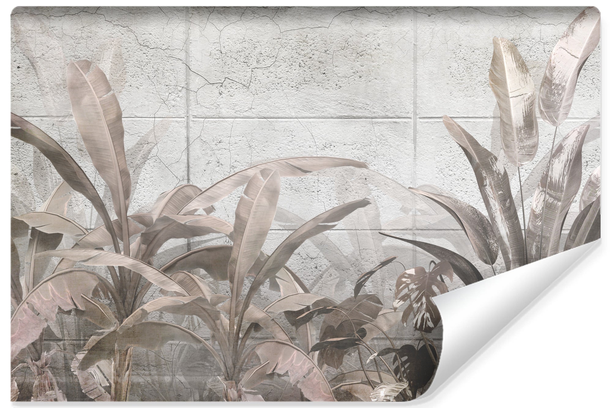 Papel pintado no tejido plantas tropicales foto hormigón para habitación 405cm x 270cm
