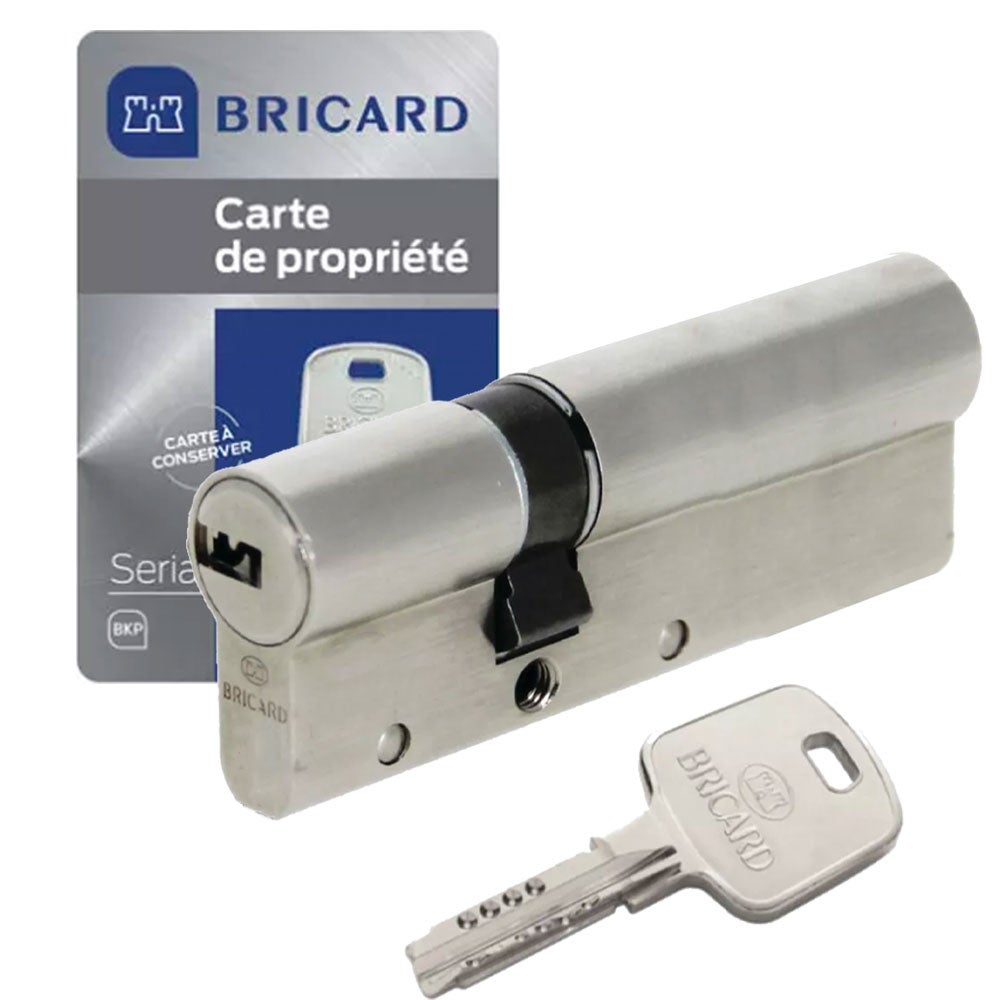 Cylindre De Serrure Double WILKA 35/40 N+G - Argenté, Jusqu'à 100 Clés - Garantie 2 Ans