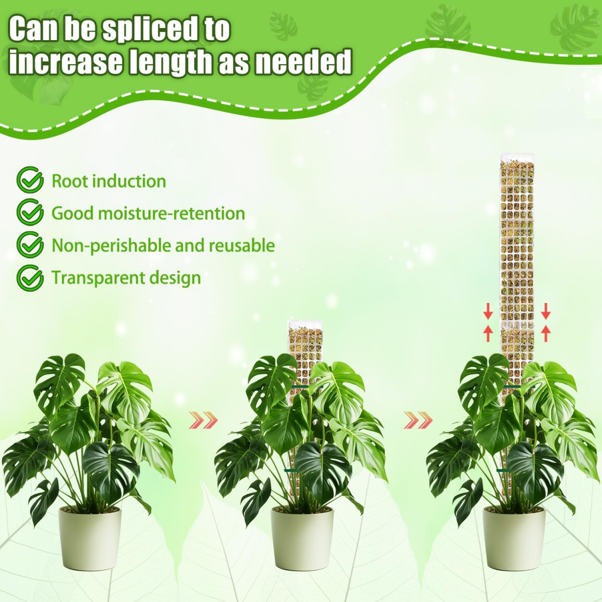 6 Piezas 60cm Tutor de Esfagno, Moss Pole para La Casa Monstera Jardín ...