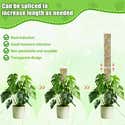 6 Piezas 60cm Tutor de Esfagno, Moss Pole para La Casa Monstera Jardín ...