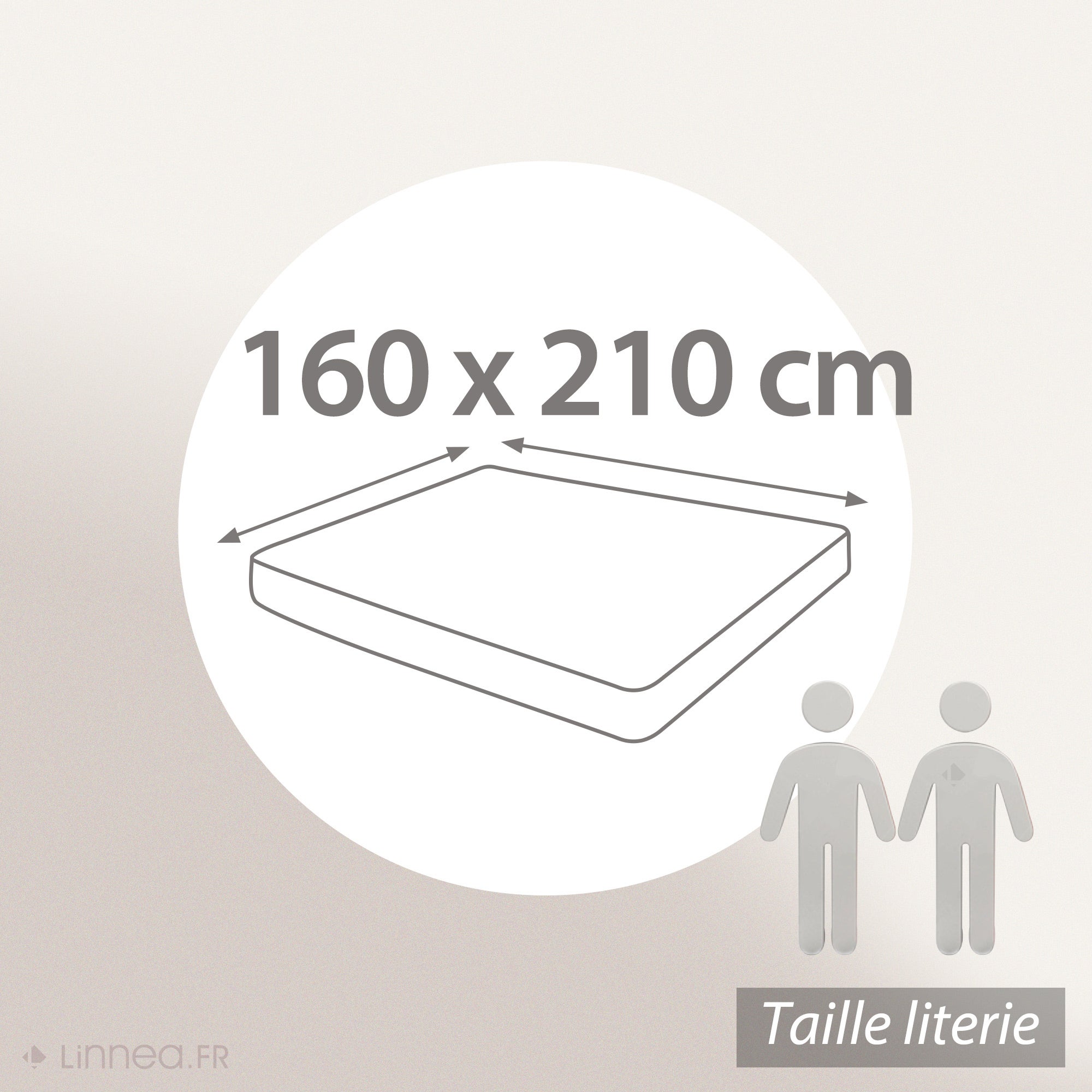 Drap housse uni 160x210 cm bonnet 30 cm coton ALTO Blanc - 5