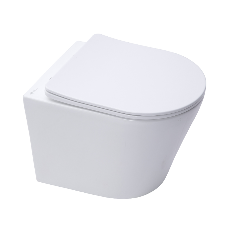 Pack WC bâti-support Rapid SL + WC SAT sans bride + abattant SoftClose + plaque chrome (RSLCETOR1) - 3
