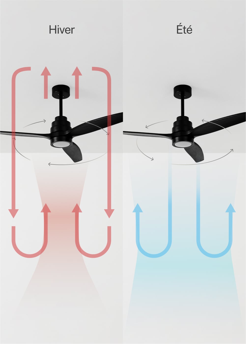 WINDSTYLANCE DC - Ventilateur de Plafond 40W Silencieux Ø132 cm - Avec lumière et contrôleur mural + télécommande - 5