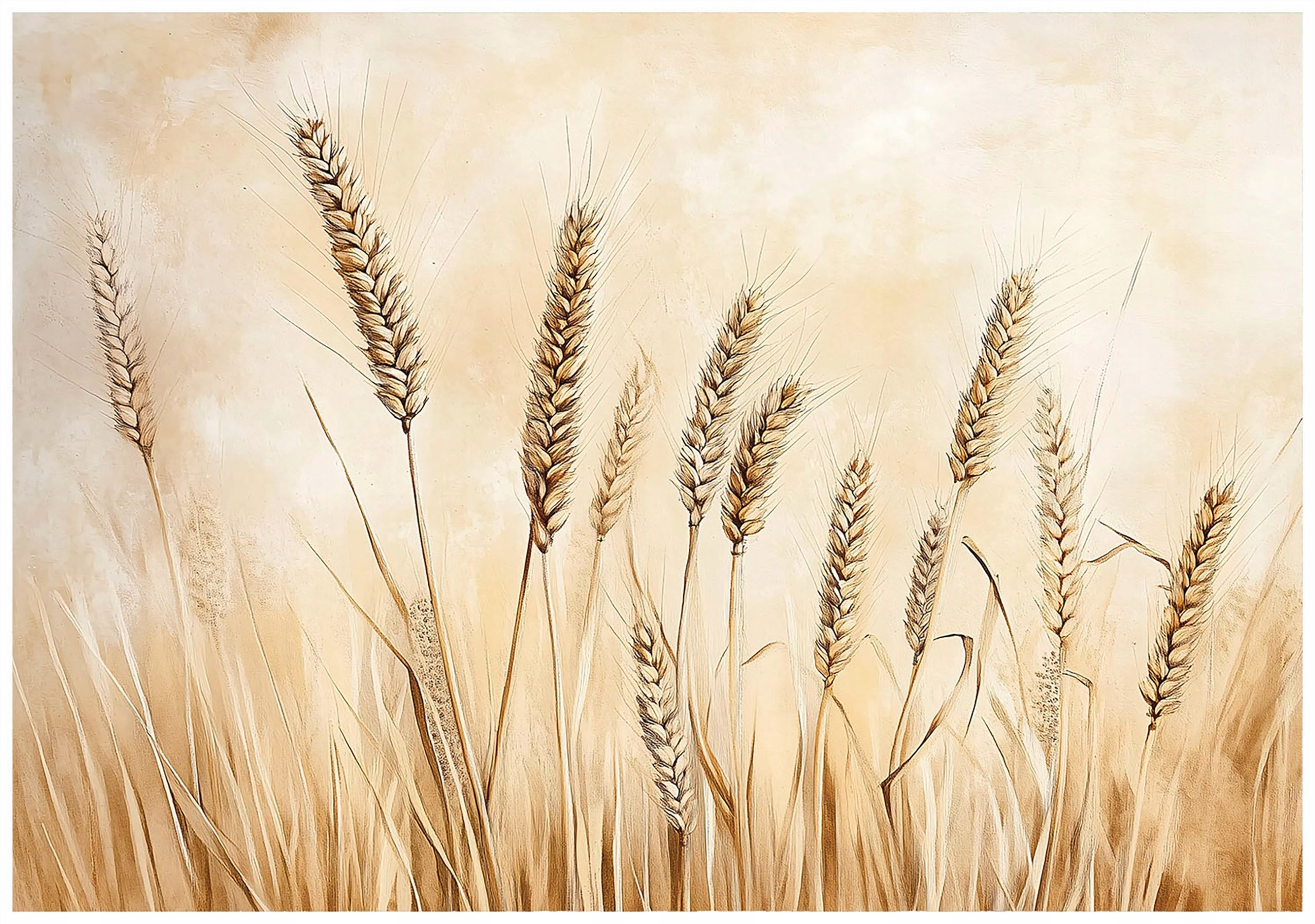 Fototapeta Natura Pszenica Beżowy Trawa 300x210 cm Tapeta Do Sypialni Salonu Kuchni Na Flizelinie