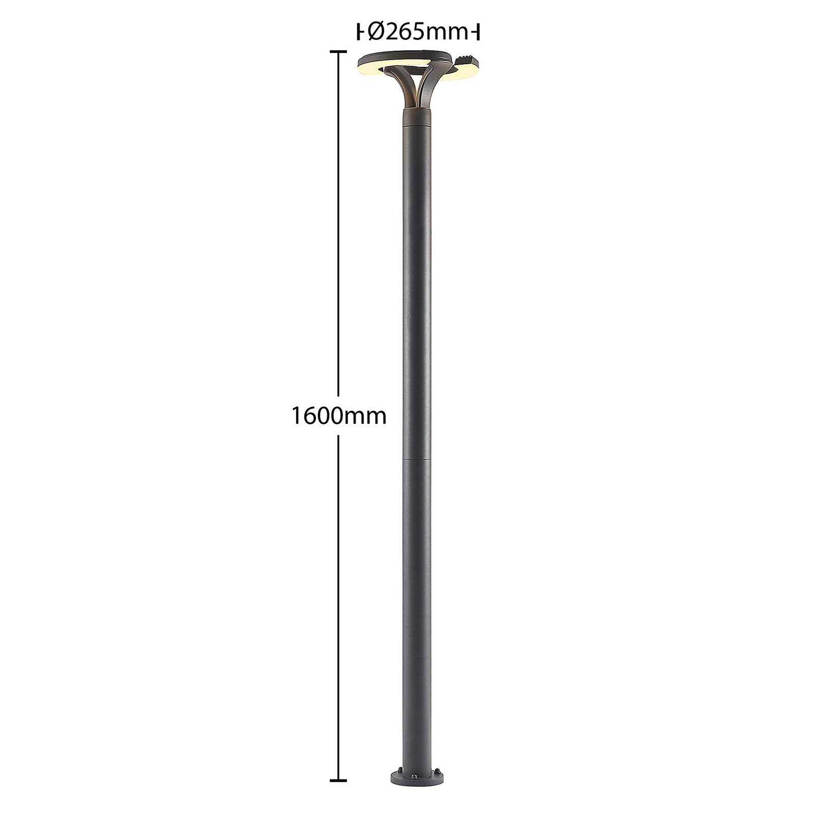 Lindby lampada LED da esterno Keily, cerchio, antracite, metallo, Candelabro, lampada da esterni - 4