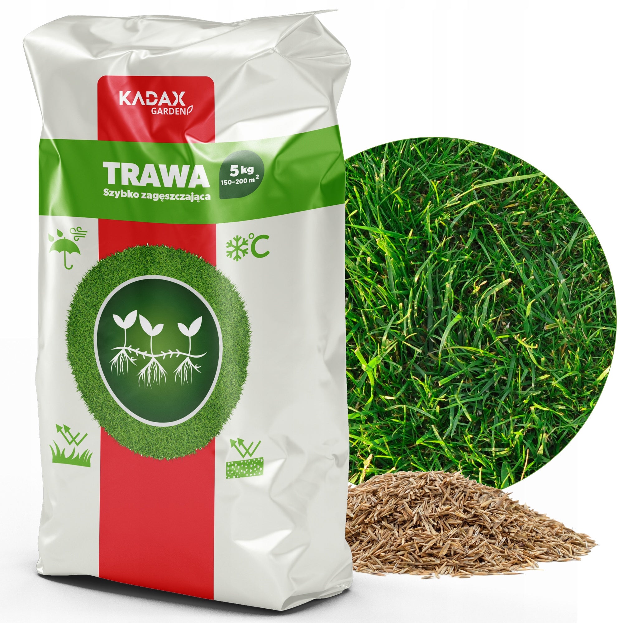 TRAWA NASIONA UNIWERSALNA SZYBKO ZAGĘSZCZAJĄCA TRAWNIK ODPORNA 5KG 200m2
