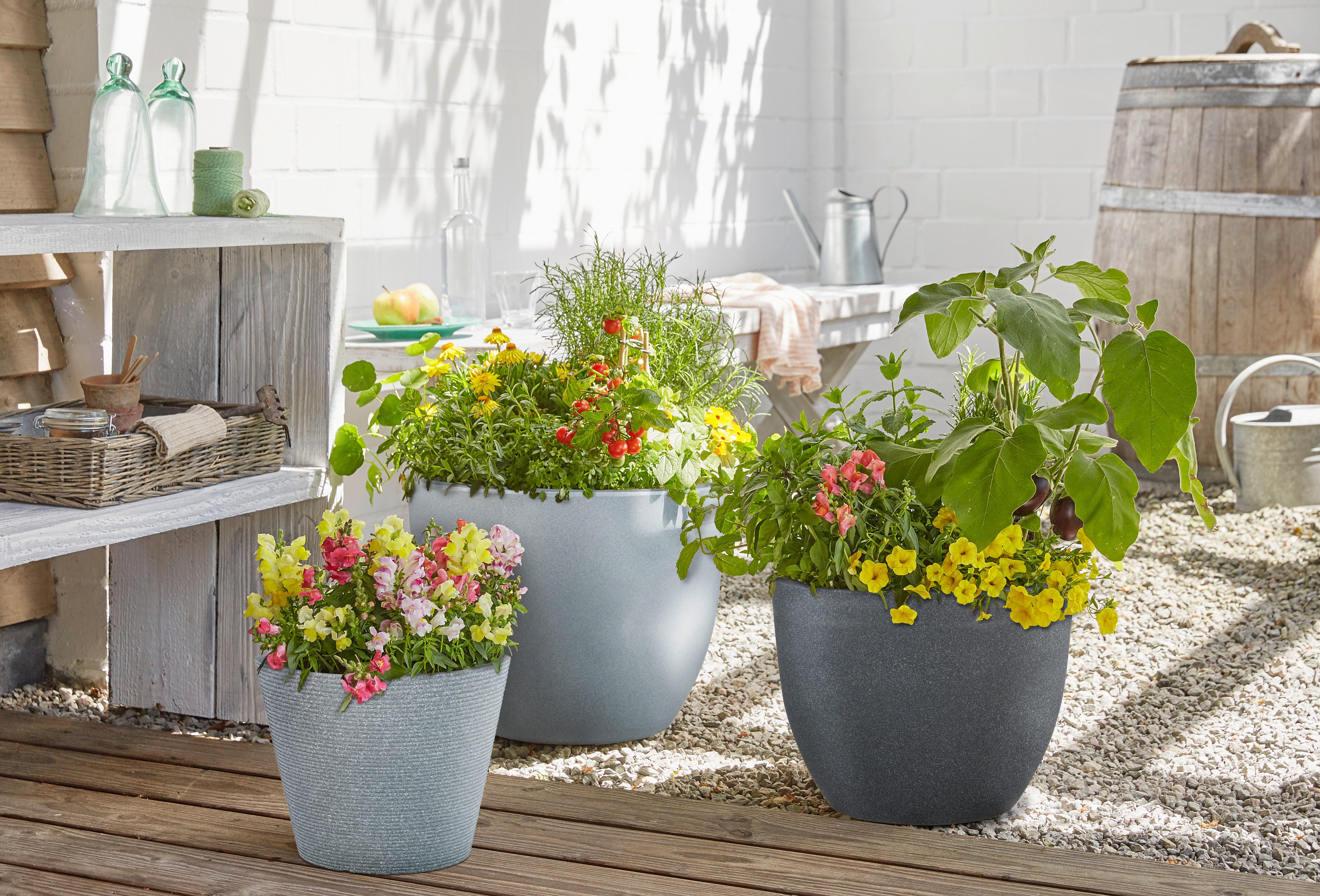 Scheurich Firenze 40, bac à plantes/pot à fleurs/jardinière, cylindrique, coloris: Granit noir, fabriqué avec du plastique recyclé, pour l’extérieur - 3