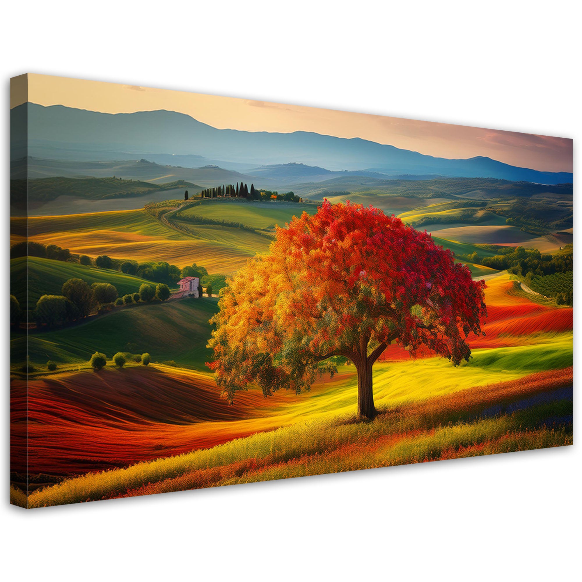 Obraz na płótnie, Toskania Krajobraz Drzewo Natura 120x60