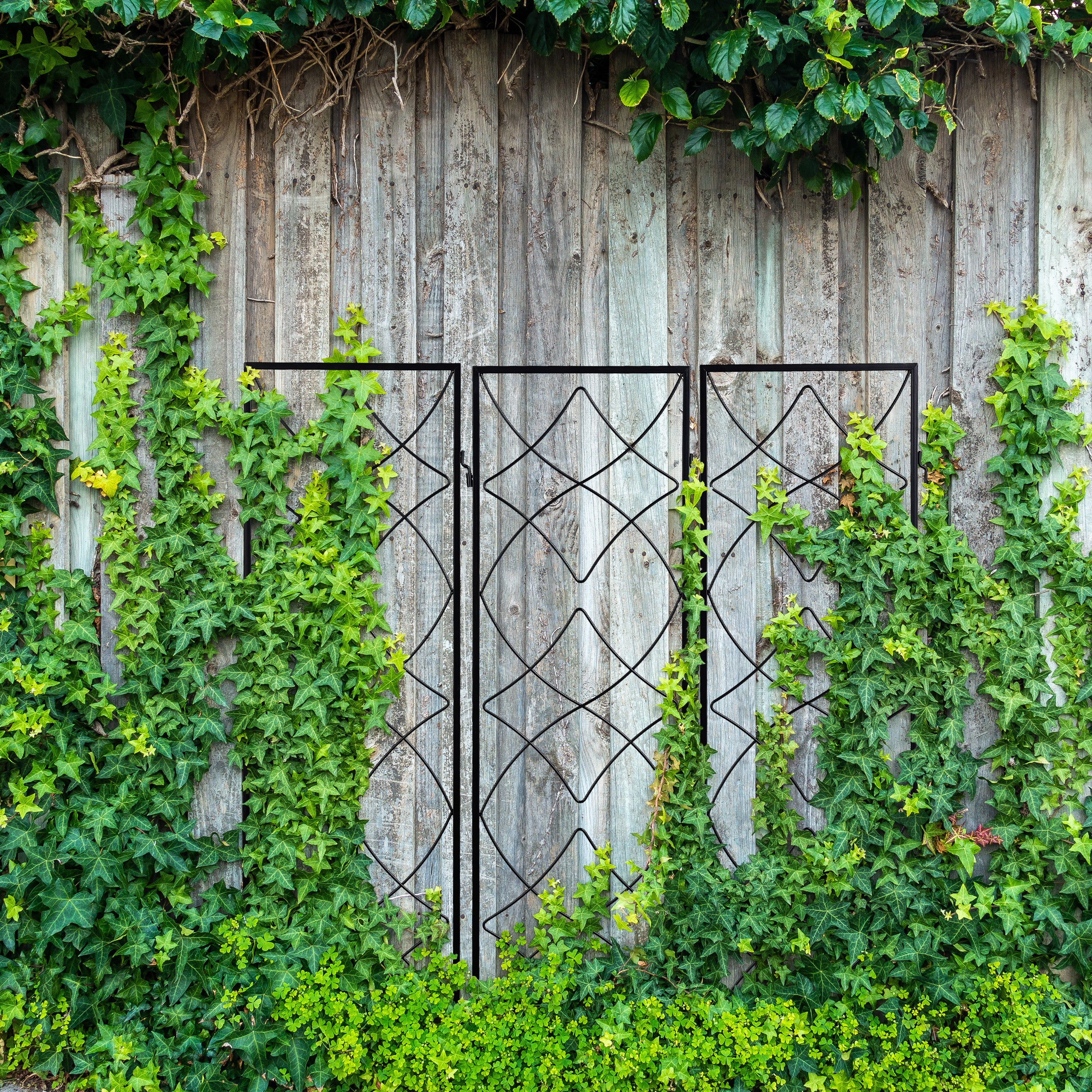 treillis de jardin, métal, lot de 3, à planter, support pour plantes grimpantes, 122x31 cm, jardin, noir, Relaxdays - 2