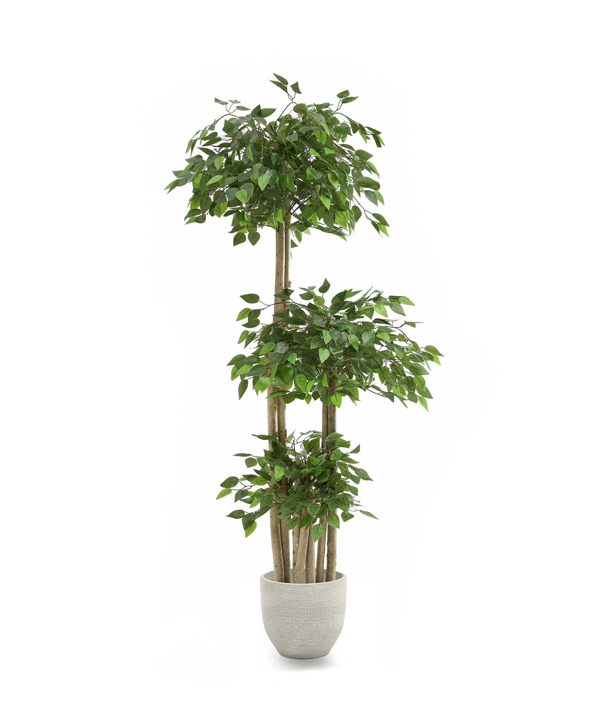 Ficus artificiel à plateaux - 7