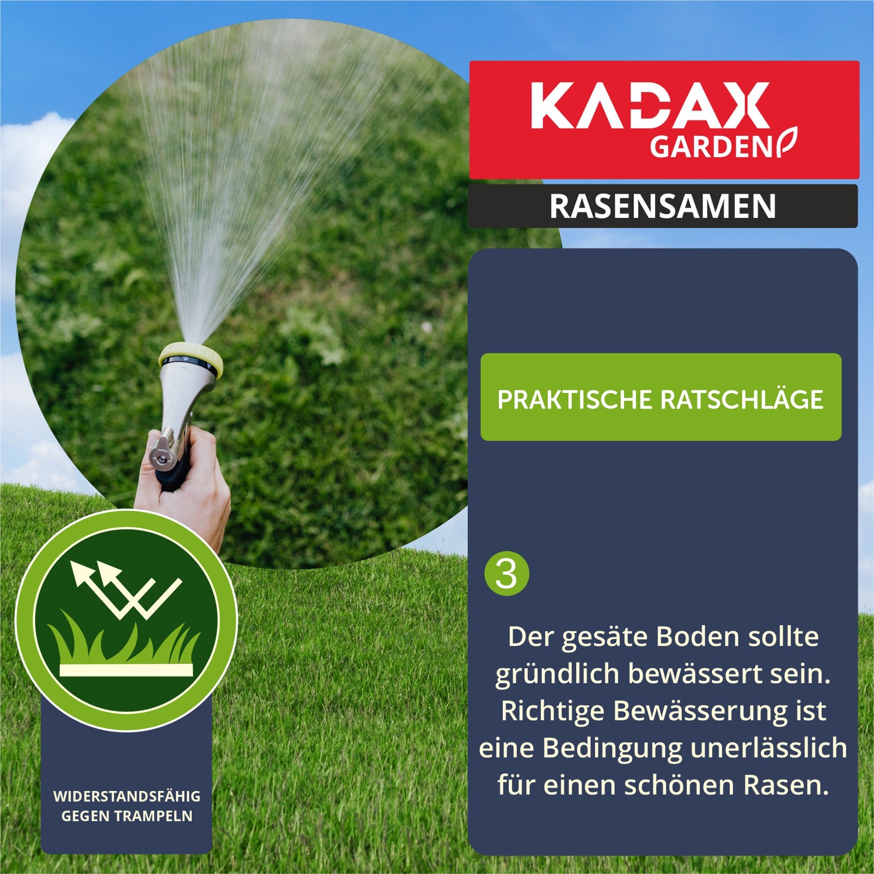 TRAWA NASIONA 5kg ODPORNA NA DEPTANIE SAMOZAGĘSZCZAJĄCA TRAW SPORTOWA 200m2 - 4