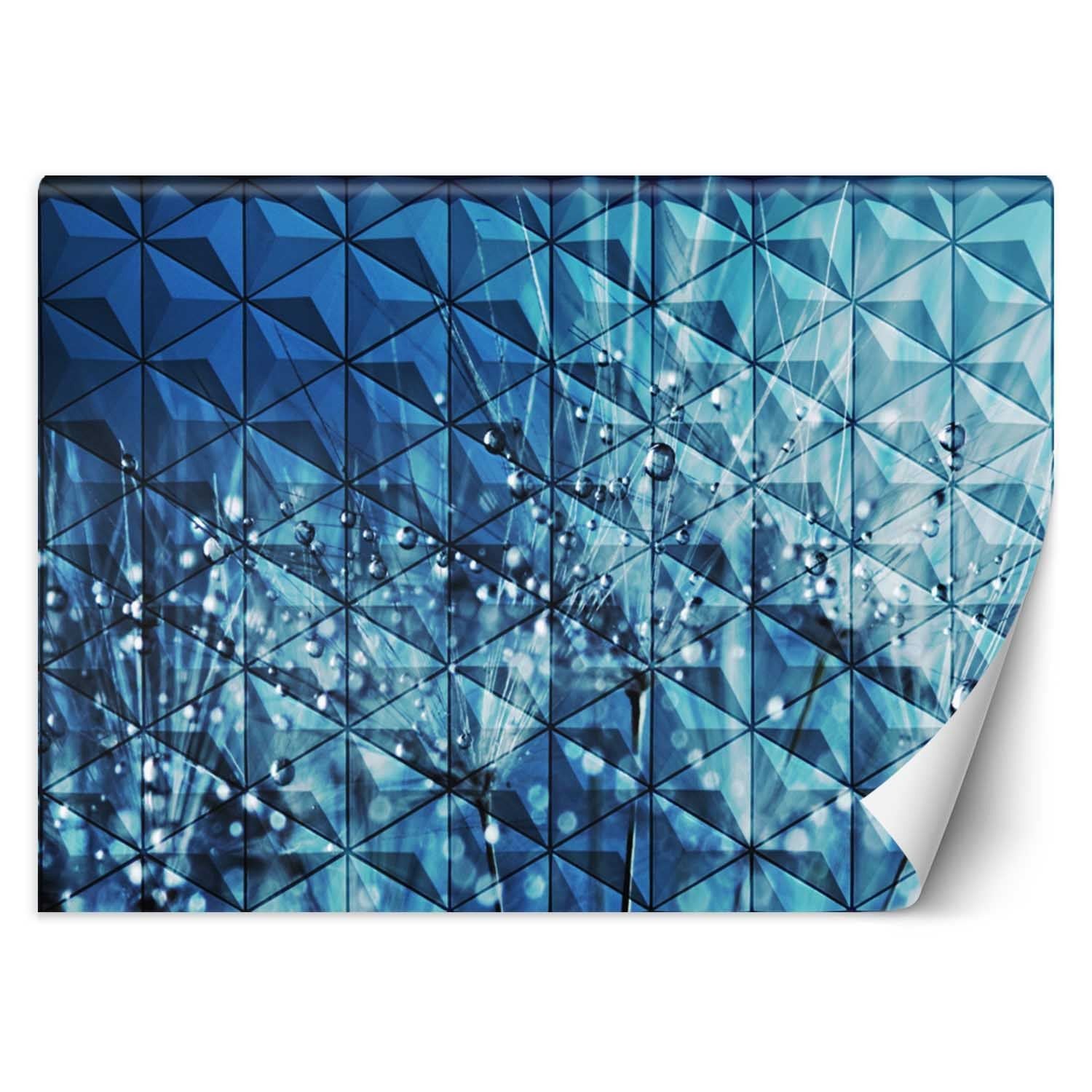 Fototapeta, Krople rosy na dmuchawcu 350x245