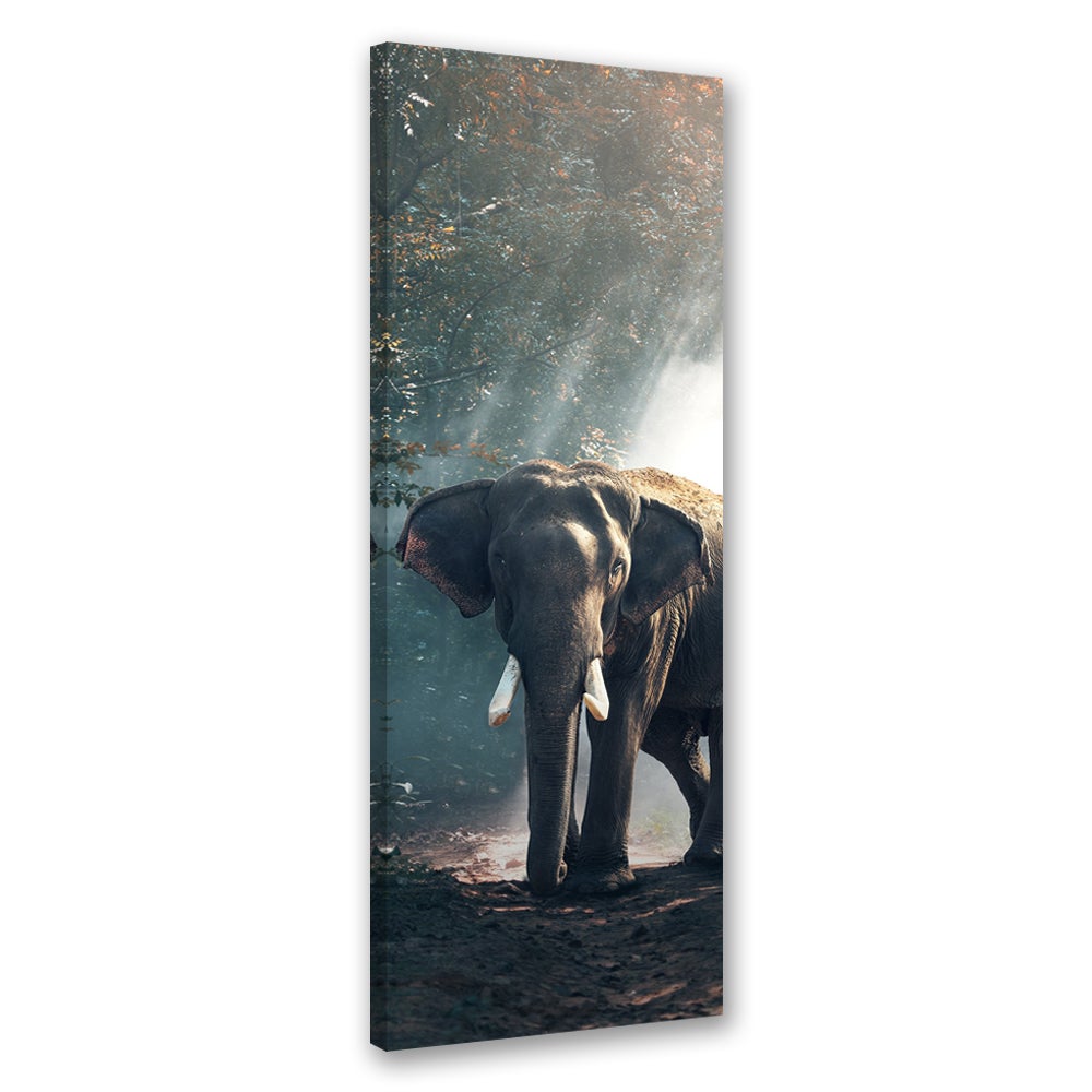 Obraz na płótnie, Słoń w dżungli 40x120