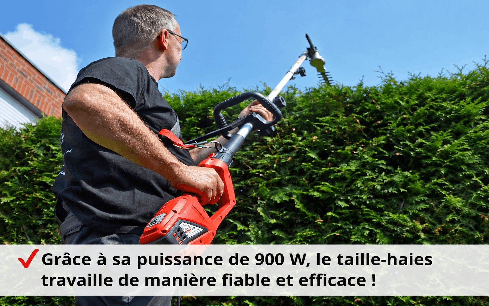 Hecht jardin 695 Taille haies telescopique electrique 900W pour arbustes et buissons - 7