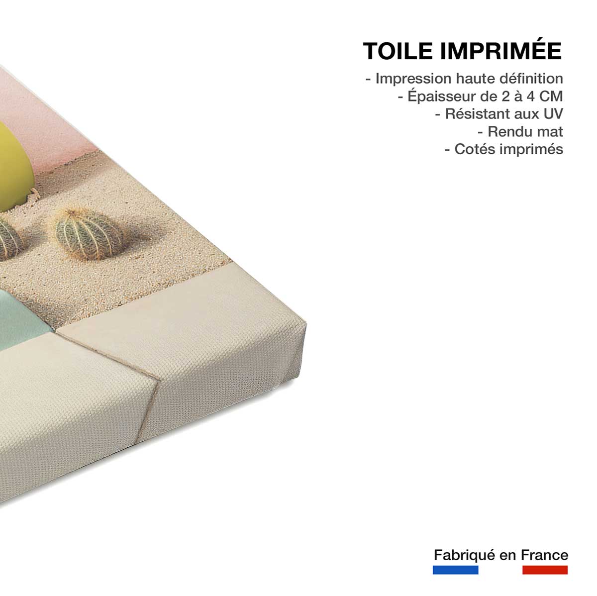 Tableau pour decoration porte bleue palm springs - 60x90cm - 3