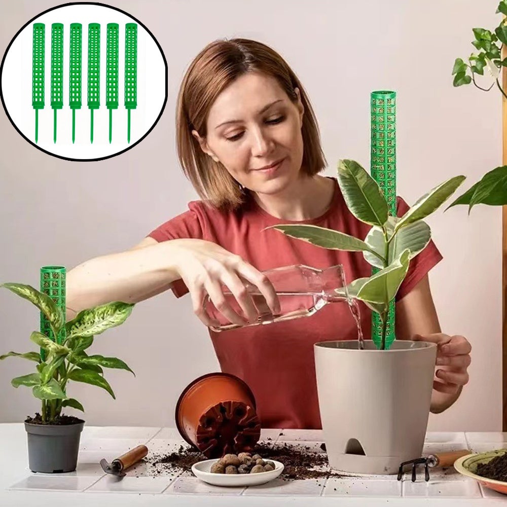 Lot De 20 Tuteurs Pour Plantes Transparents Avec Clips - 40 Cm, En Acrylique Robuste