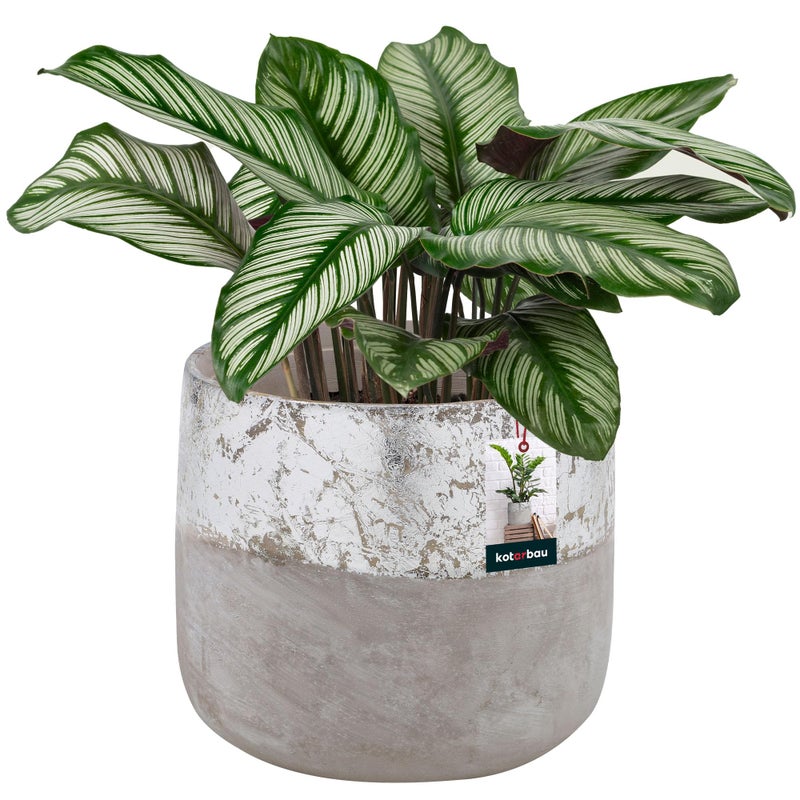 Doniczka donica 11,5 ceramiczna kwiaty zioła rośliny osłonka nieszkliwiona - KOTARBAU