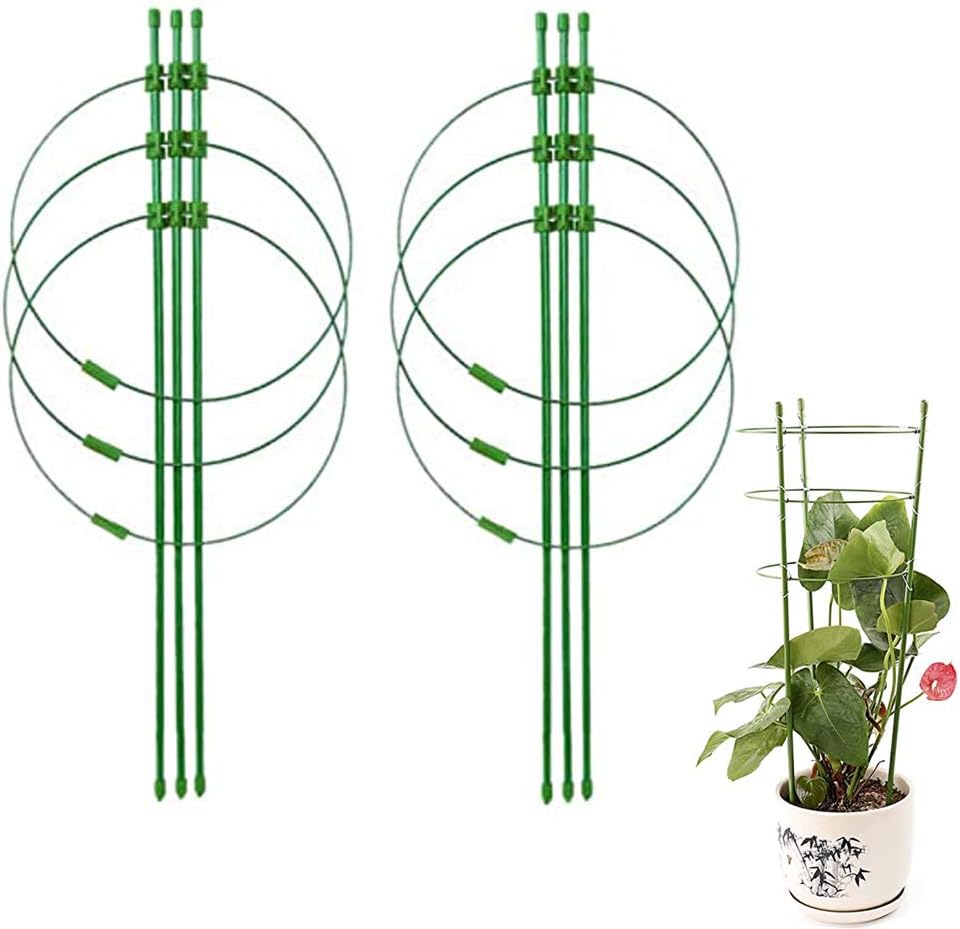 3 confezioni di gabbie per pomodori da giardino, pali da 120 cm, supporto per piante, gabbie per piante, per piante rampicanti verticali | Leroy Merlin