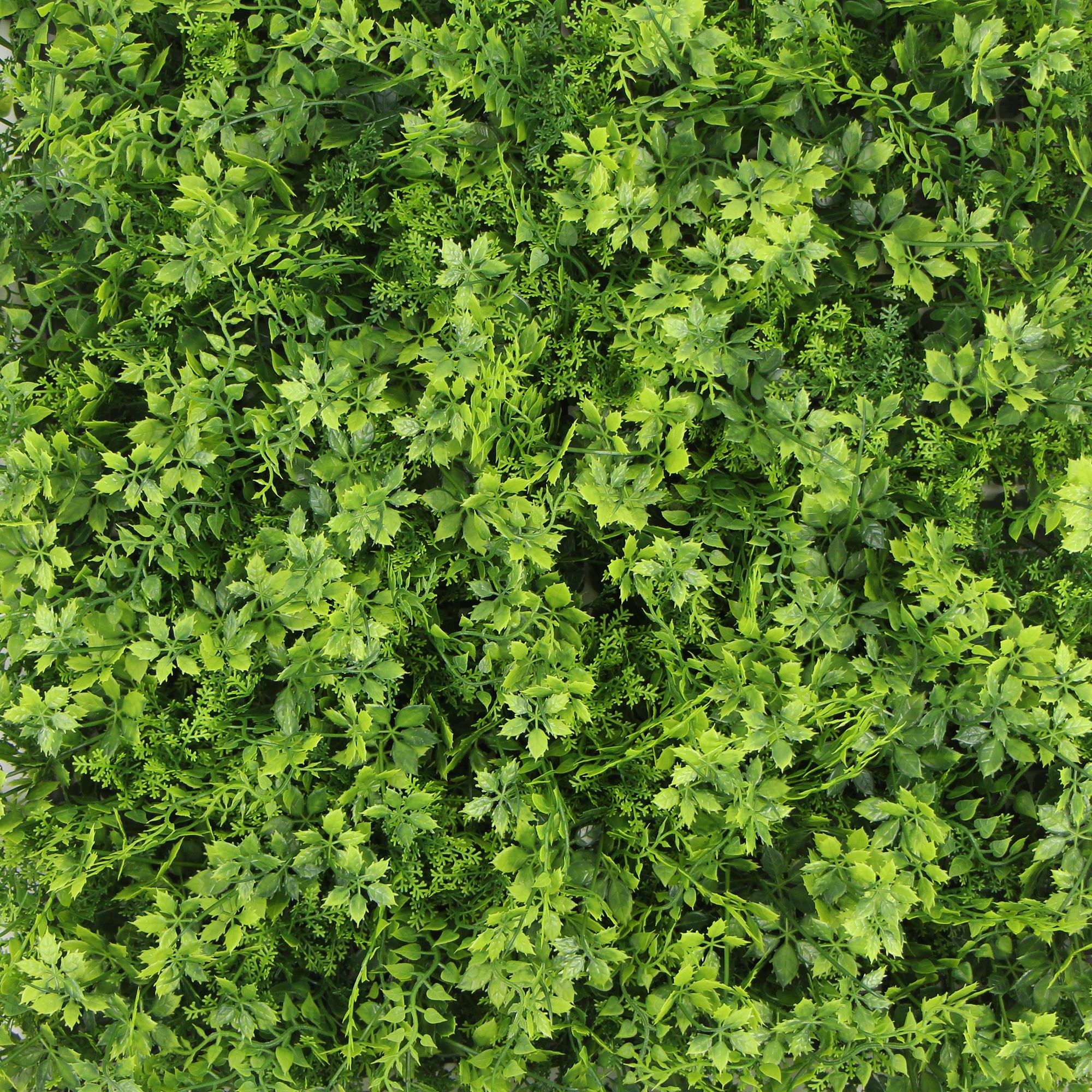 Fiji | FOLY - 50 x 50 cm - Mur végétal artificiel extérieur et intérieur - Imitation fougère - Garantie UV 5 ans - JIVANA - 3