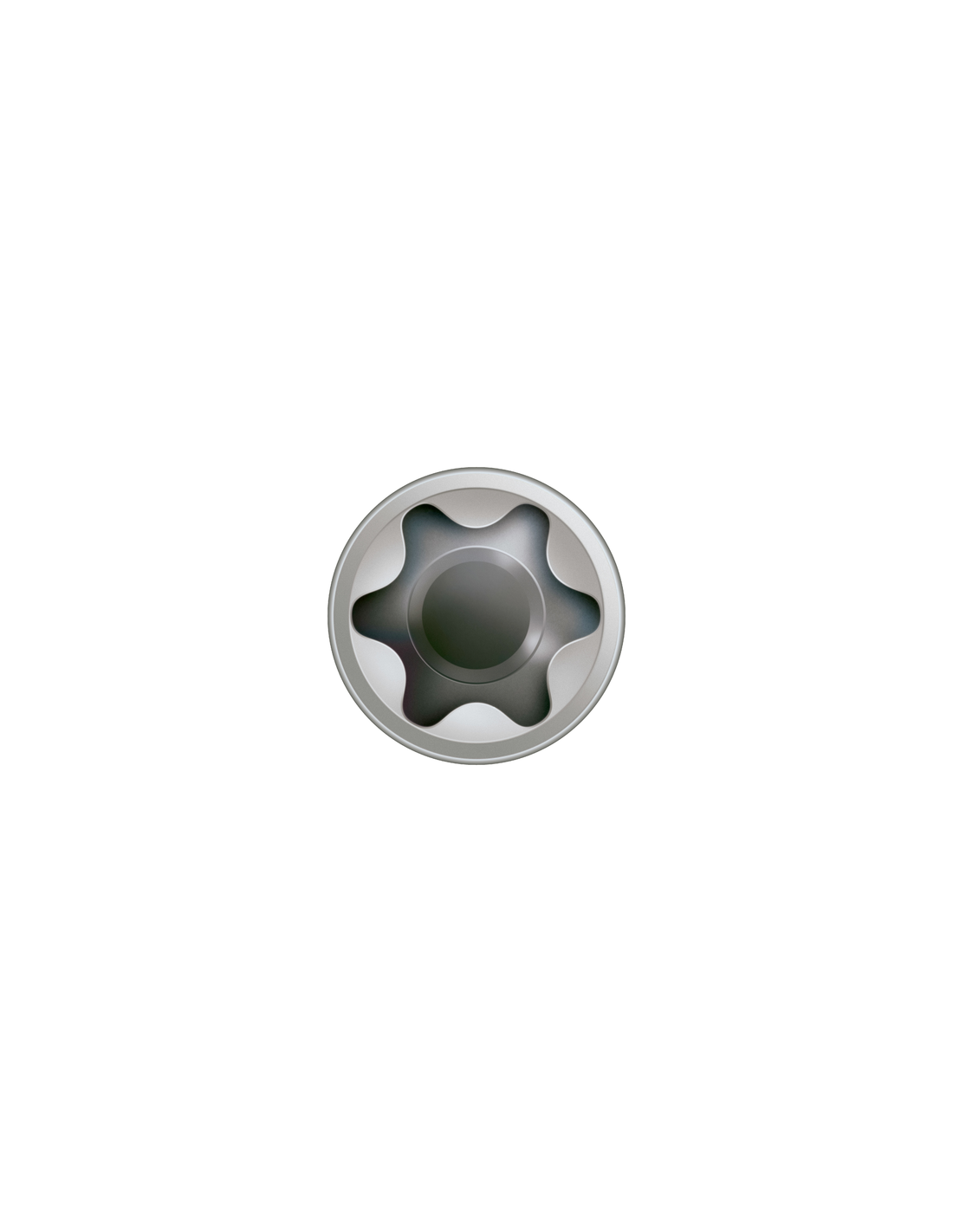 Spax Vis terrasse Tête cylindrique TC TORX T25 5X50 Inox A2-100 pièces - 2