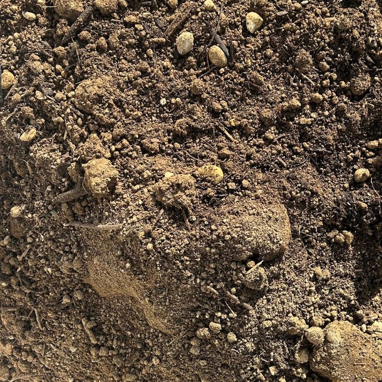 BIG BAG de 1m³ (+/- 1,4T) Terre Criblée Amendée Compostée à 5% - Livraison PREMIUM - 3