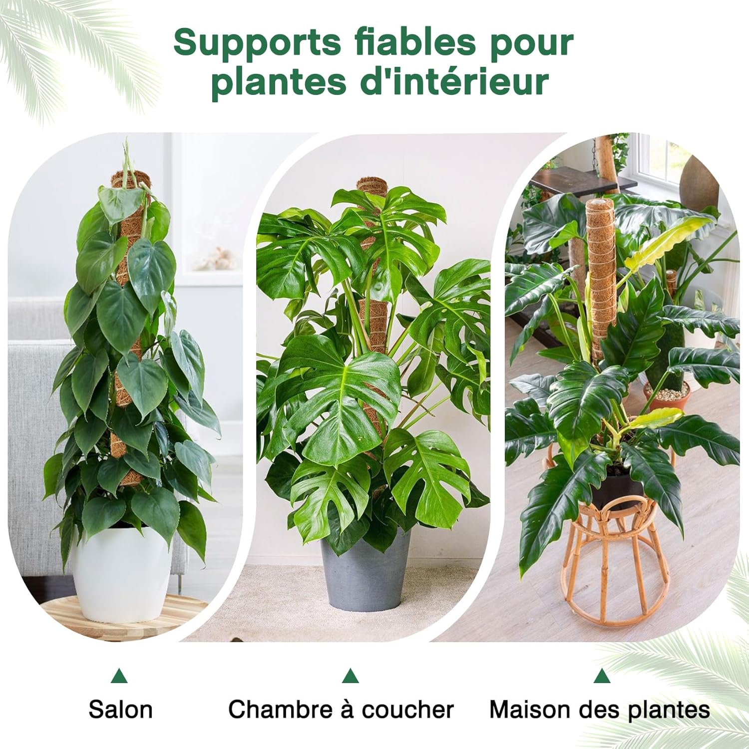 Lot de 4 Tuteurs pour Monstera–40cm(Extensibles jusqu'à 193 cm)–En Fibre de Coco–Support Modulable pour Plantes Grimpantes–Idéal pour Monstera - 7