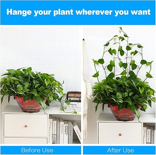 100Pcs Clip de Support pour Plantes Grimpantes, Clips de Plante Auto-adhésif, Clip de Fixation Murale Vigne Vert, Fixateur Mural, Clip Crochet - 5