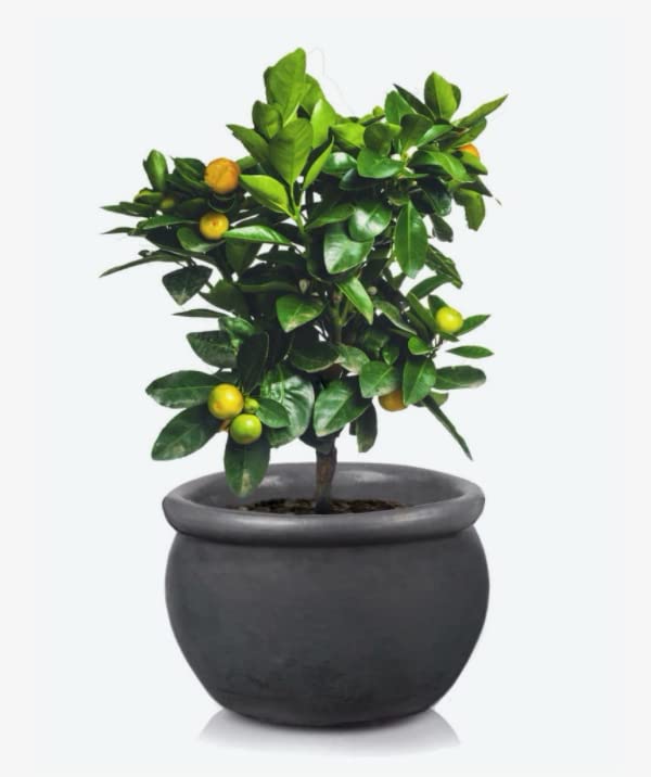 Donica doniczka turkus ogrodowa ceramiczna osłonka na kwiaty rośliny ⌀ 34cm - KOTARBAU - 3