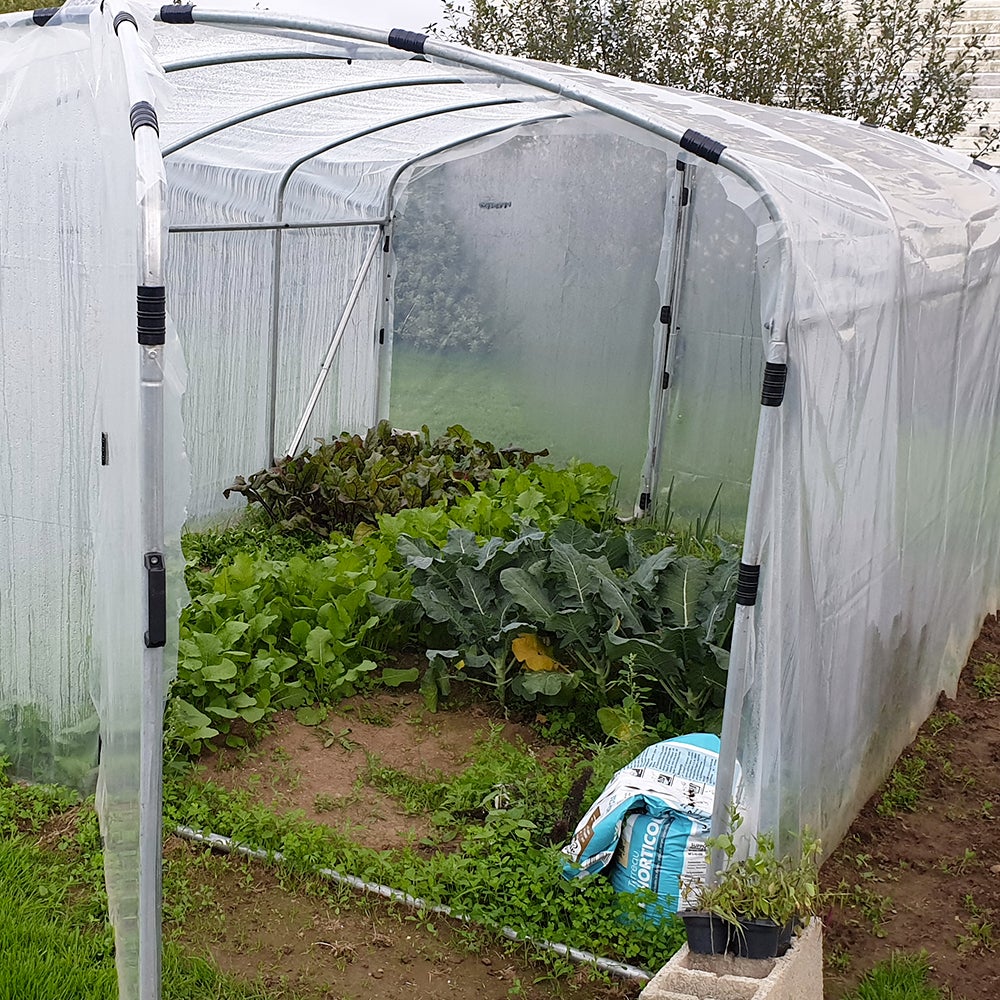 Serre tunnel 12m² à pieds droits avec porte - Bâche thermique transparente et structure Ø32mm - 3