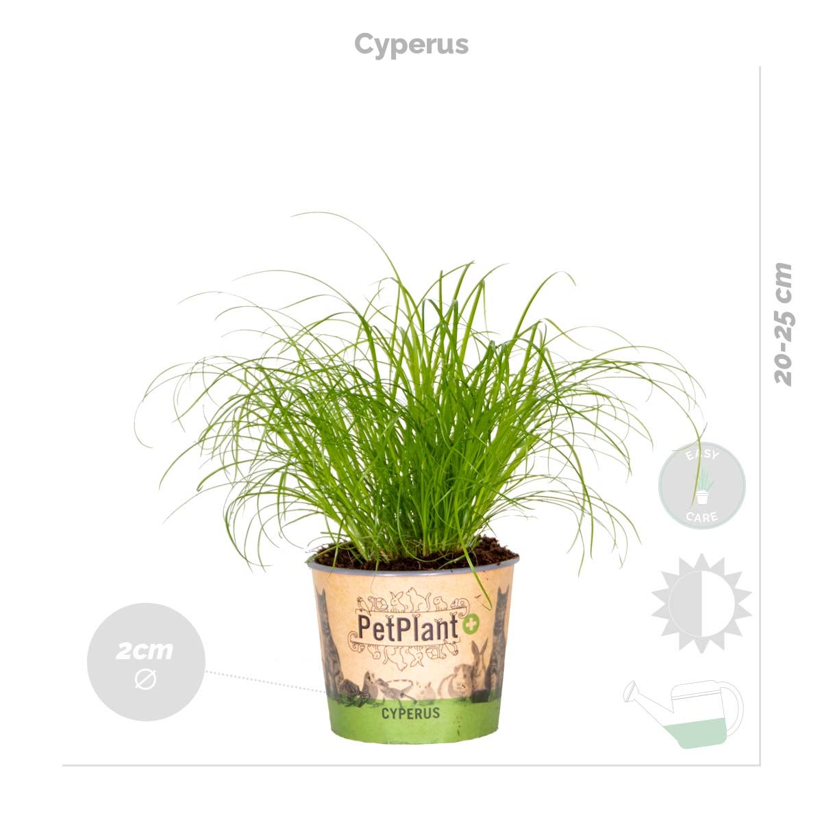 Lot de 4 - Mélange sans danger pour les animaux - H. 20-40 cm - P. 12 cm - 6