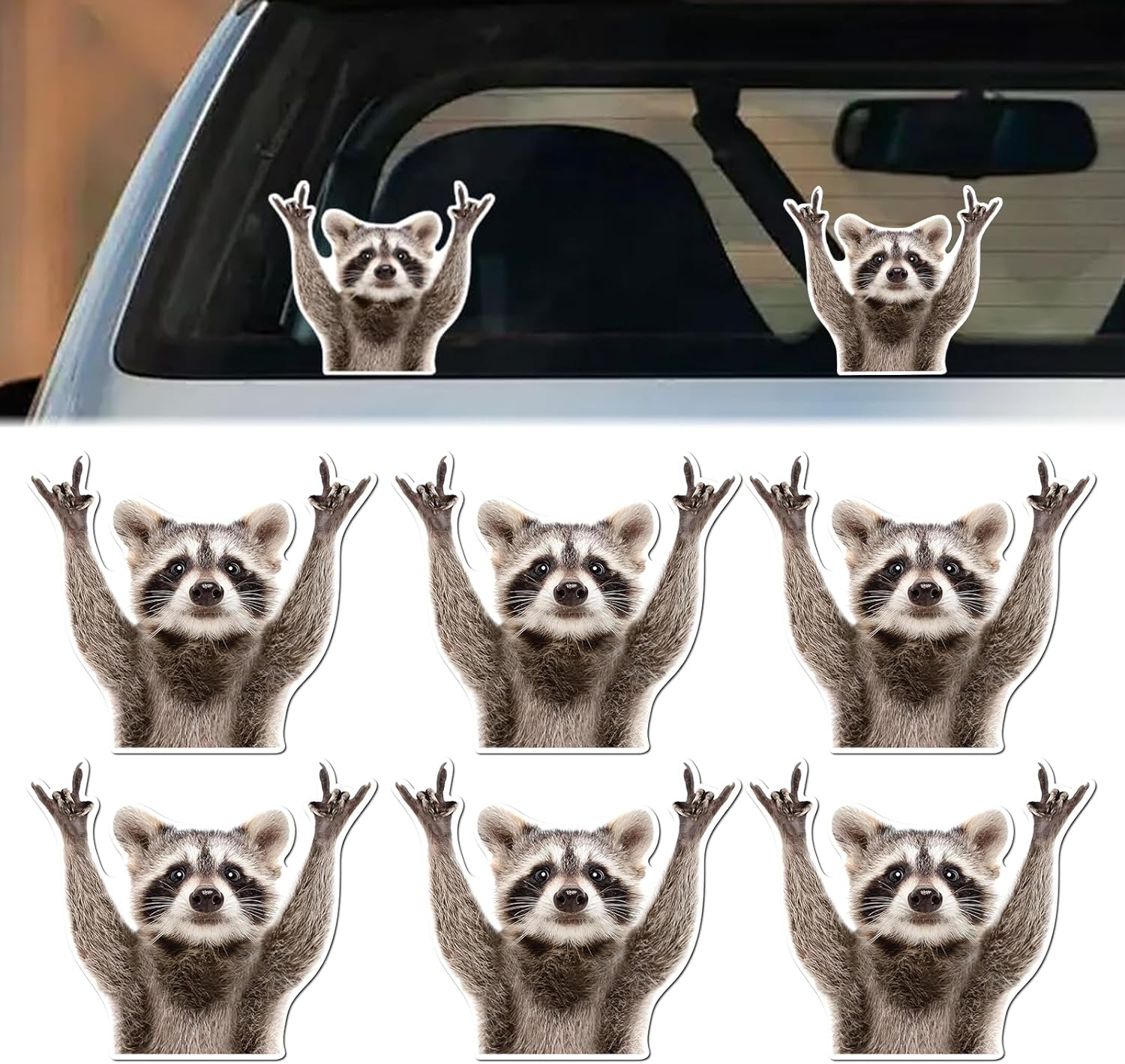 Raton Sticker Real Autocollant Voiture, 6 Pcs Petit Raton Laveur Stickers Voiture, Sticker ...