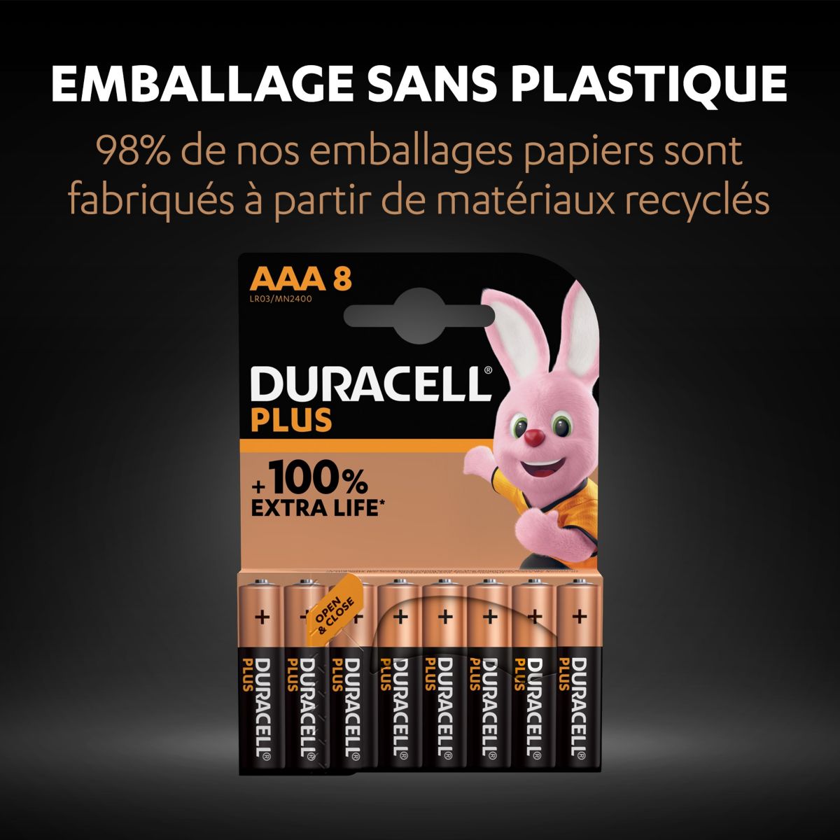 Pilhas descartáveis Duracell Plus 100 AAA Mini Stylus AAA Alcalinas - 6