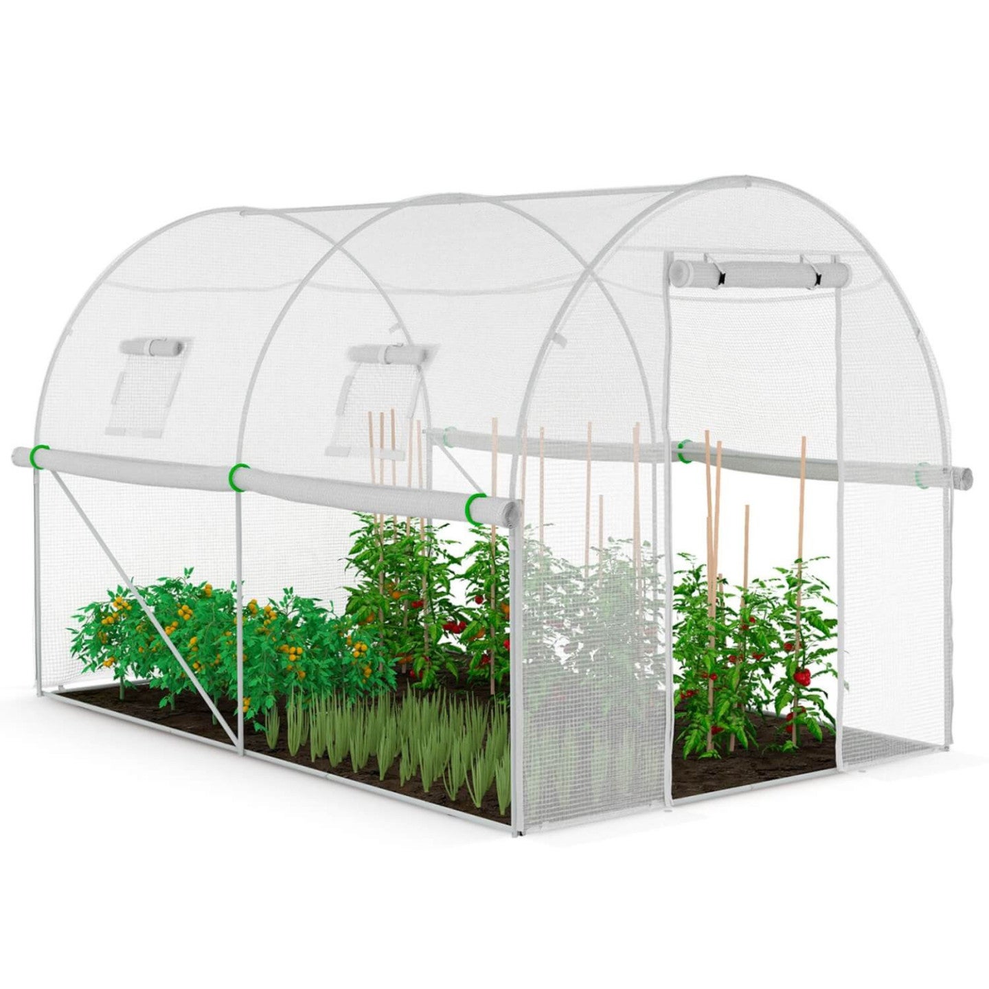 Serre de jardin tunnel 6m² 3 x 2 x 2 m acier galvanisé + bâche anti-UV avec porte et fenêtres ROMA blanche toutes saisons - 2