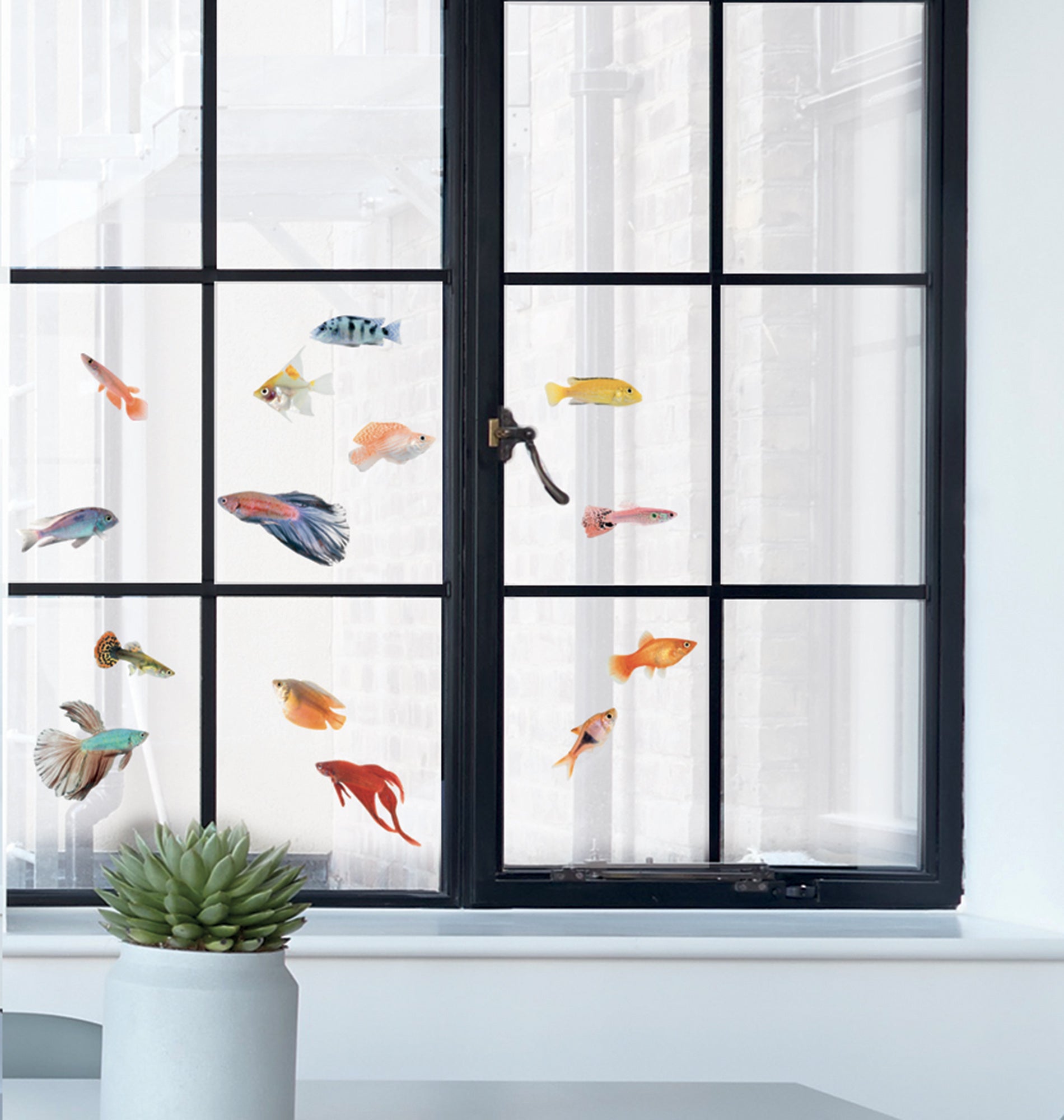 B&eacute;n&eacute;teau Blue Logo Decalcomania