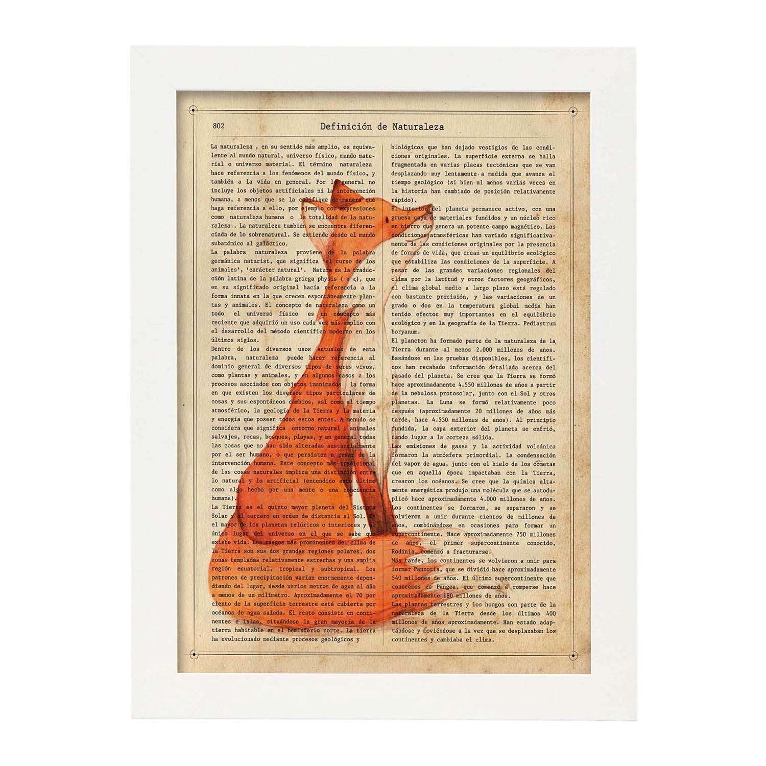 Cornice Per Foto In Legno Con Dedica Per Allenatore - Regalo Di Ringraziamento Uomo, Formato 10x15 Cm - 3