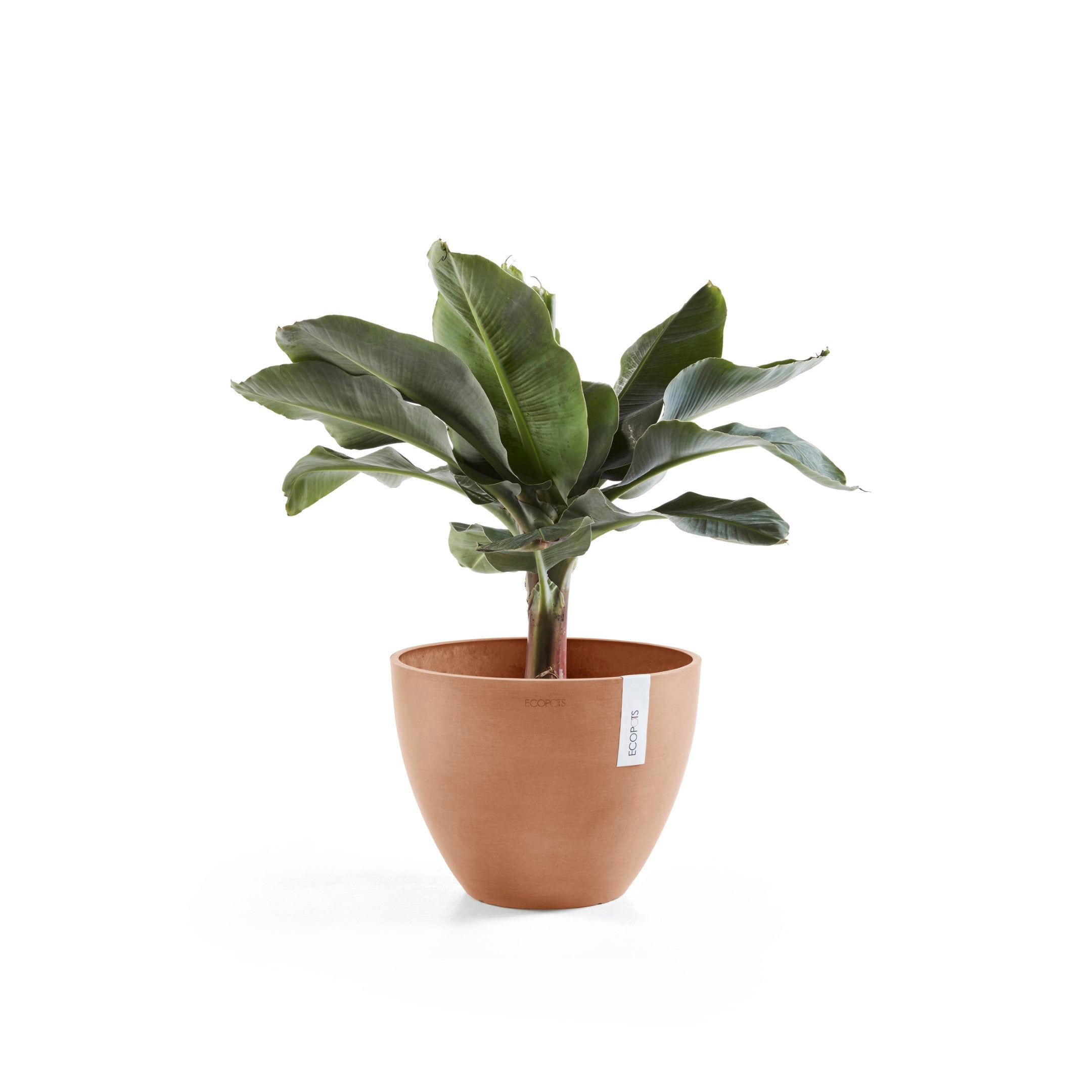 Soucoupe ronde Ecopots 20 pour pot de fleurs - L 18 cm x l 18 cm x H 2,5 cm - Taupe - Intérieur et extérieur - 2