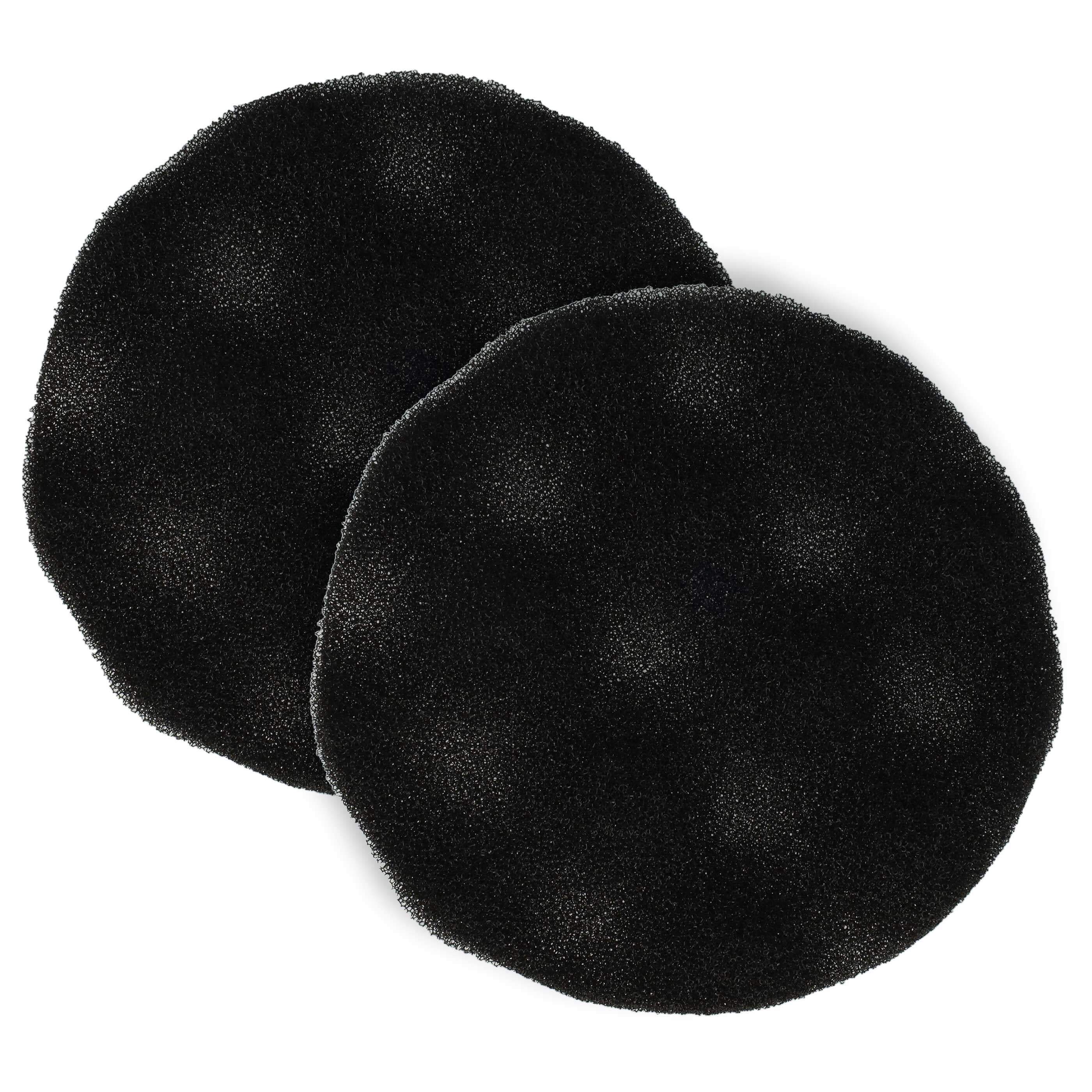 vhbw 2x Filtro de aspiradora compatible con Moulinex Manea CER341