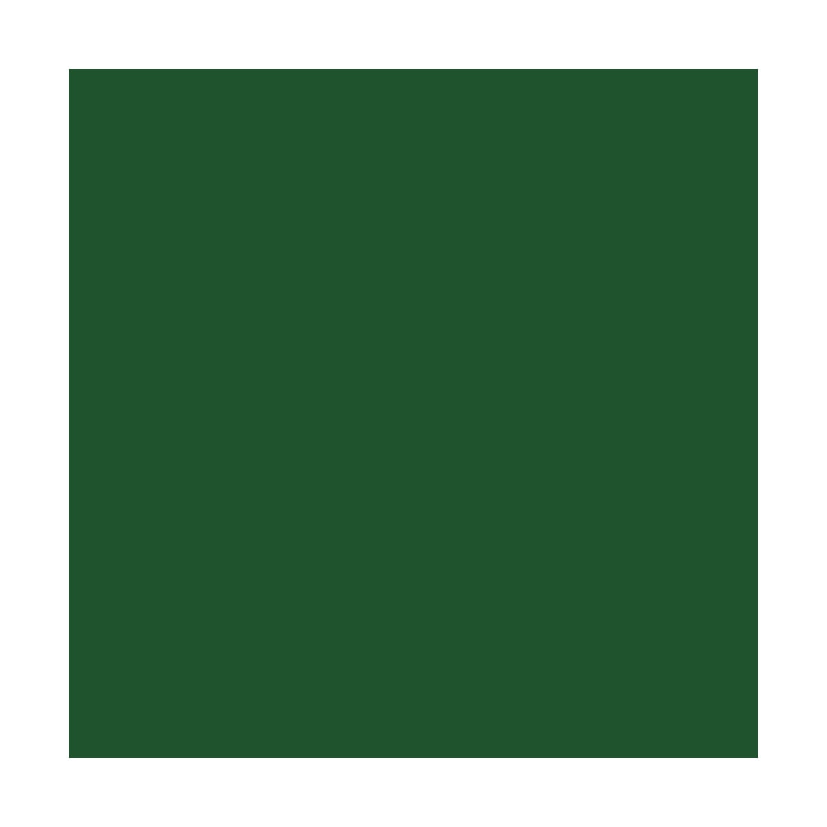 Vernice per asfalto - ARCASPHALT - 20 x 15 kg Verde Tennis - ARCANE INDUSTRIES - 2