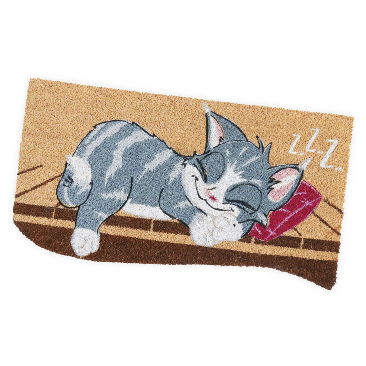 Felpudo fibra de coco 40x75 cm goma antideslizante entrada casa moderno mod. gato