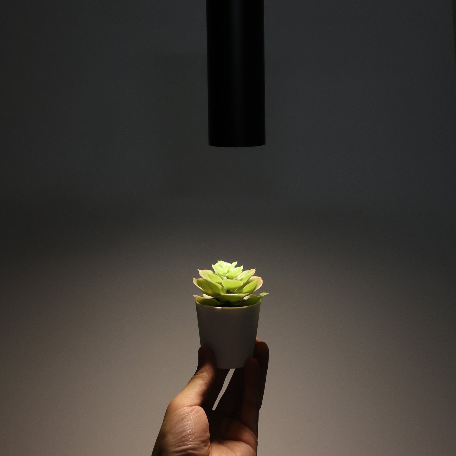 Lampada a sospensione moderna in alluminio nero minimalista a forma di tubo 20 cm con portalampada GU10, altezza regolabile. - 6