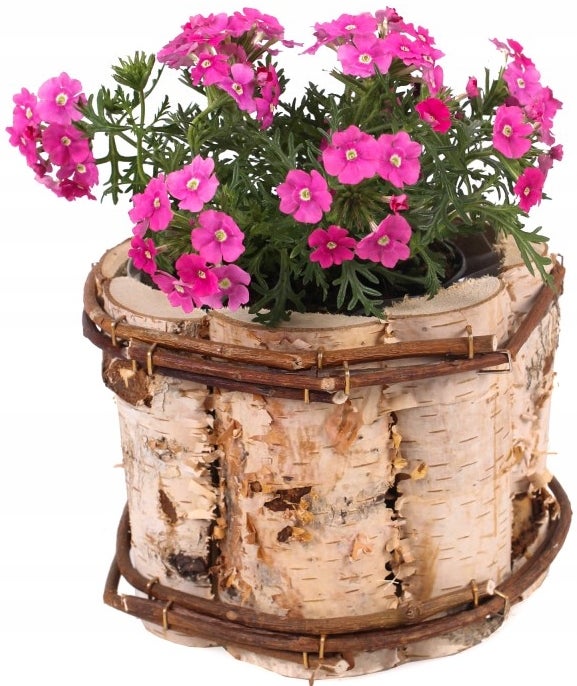 Osłonka okrągła drewniana skrzynka na kwiaty ⌀12 cm - KOTARBAU