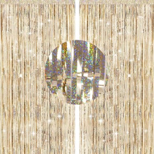 Frange de Feuille Rideau Shimmer Porte Fenêtre Décoration pour Fête de Mariage d